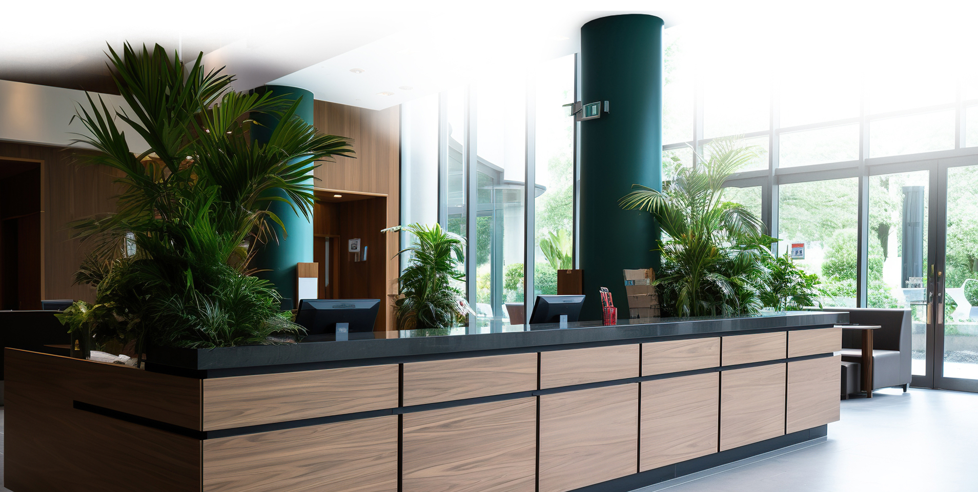 MIDAM - Spider wires background